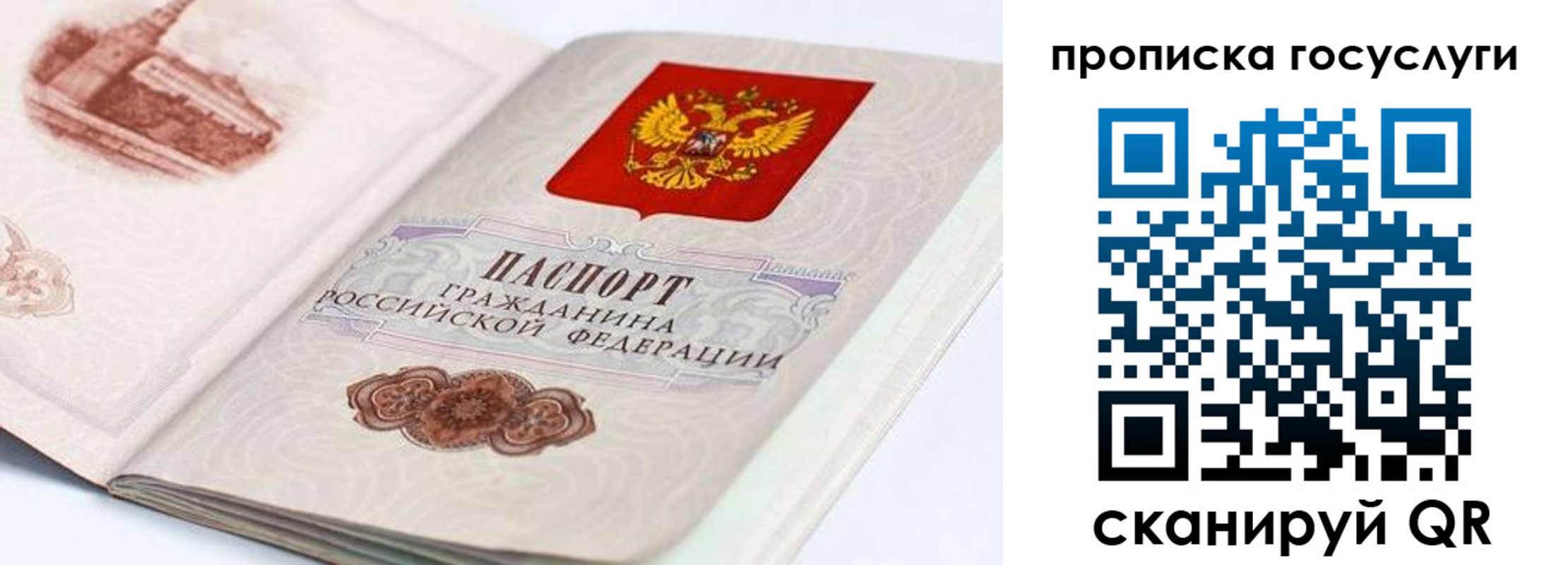 прописка гарантия в Скопине