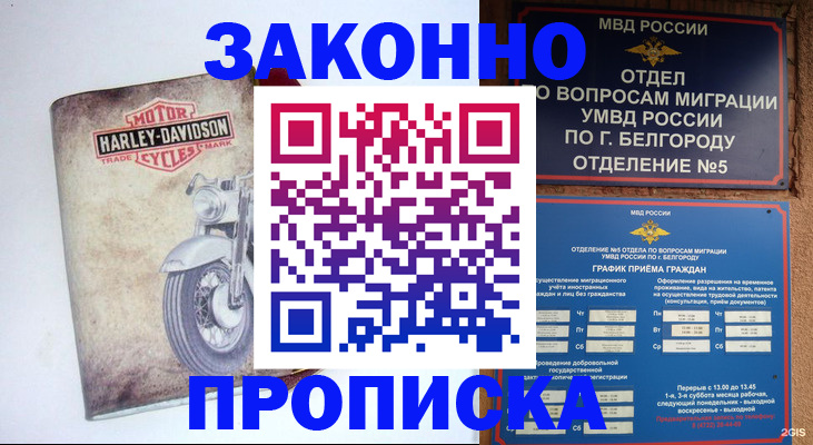 прописка для школы в Скопине